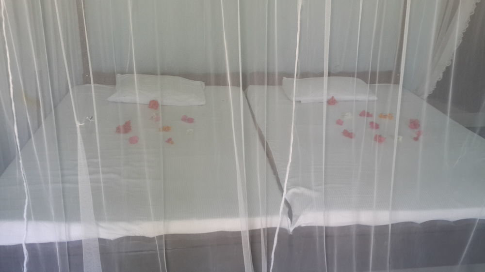 Sea Song Bed & Breakfast Unawatuna Ngoại thất bức ảnh